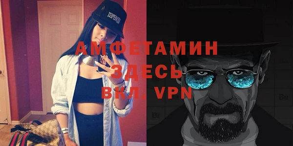гидра Горняк