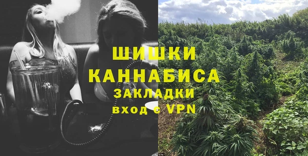 гидра Горняк