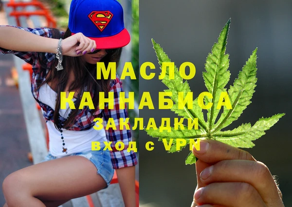 гидра Горняк