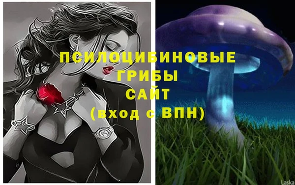 гидра Горняк