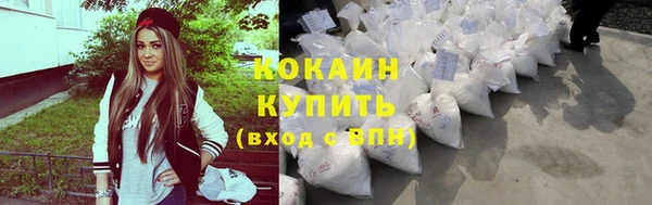гидра Горняк