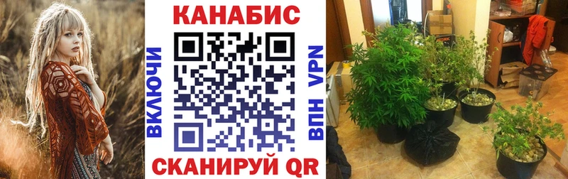 Канабис планчик  Купить где  Сибай 